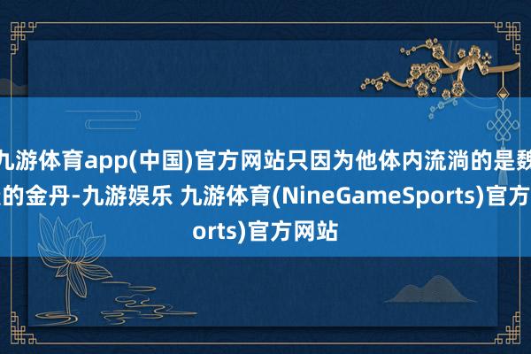 九游体育app(中国)官方网站只因为他体内流淌的是魏无羡的金丹-九游娱乐 九游体育(NineGameSports)官方网站