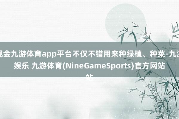现金九游体育app平台不仅不错用来种绿植、种菜-九游娱乐 九游体育(NineGameSports)官方网站