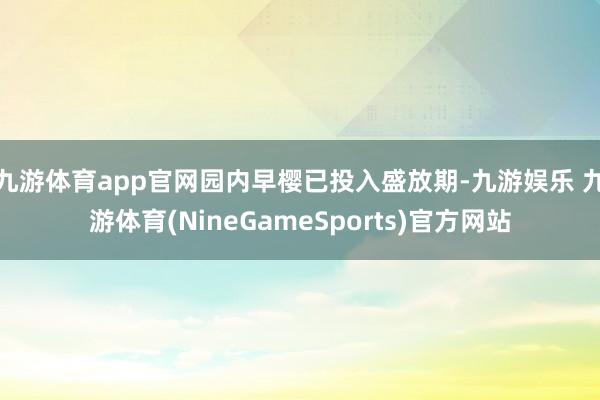 九游体育app官网园内早樱已投入盛放期-九游娱乐 九游体育(NineGameSports)官方网站