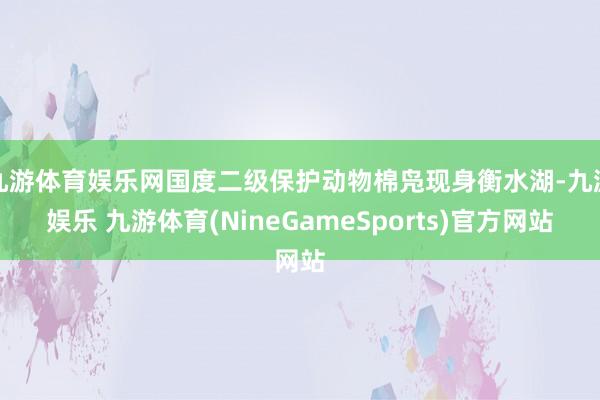 九游体育娱乐网国度二级保护动物棉凫现身衡水湖-九游娱乐 九游体育(NineGameSports)官方网站