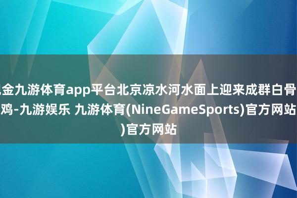 现金九游体育app平台北京凉水河水面上迎来成群白骨顶鸡-九游娱乐 九游体育(NineGameSports)官方网站